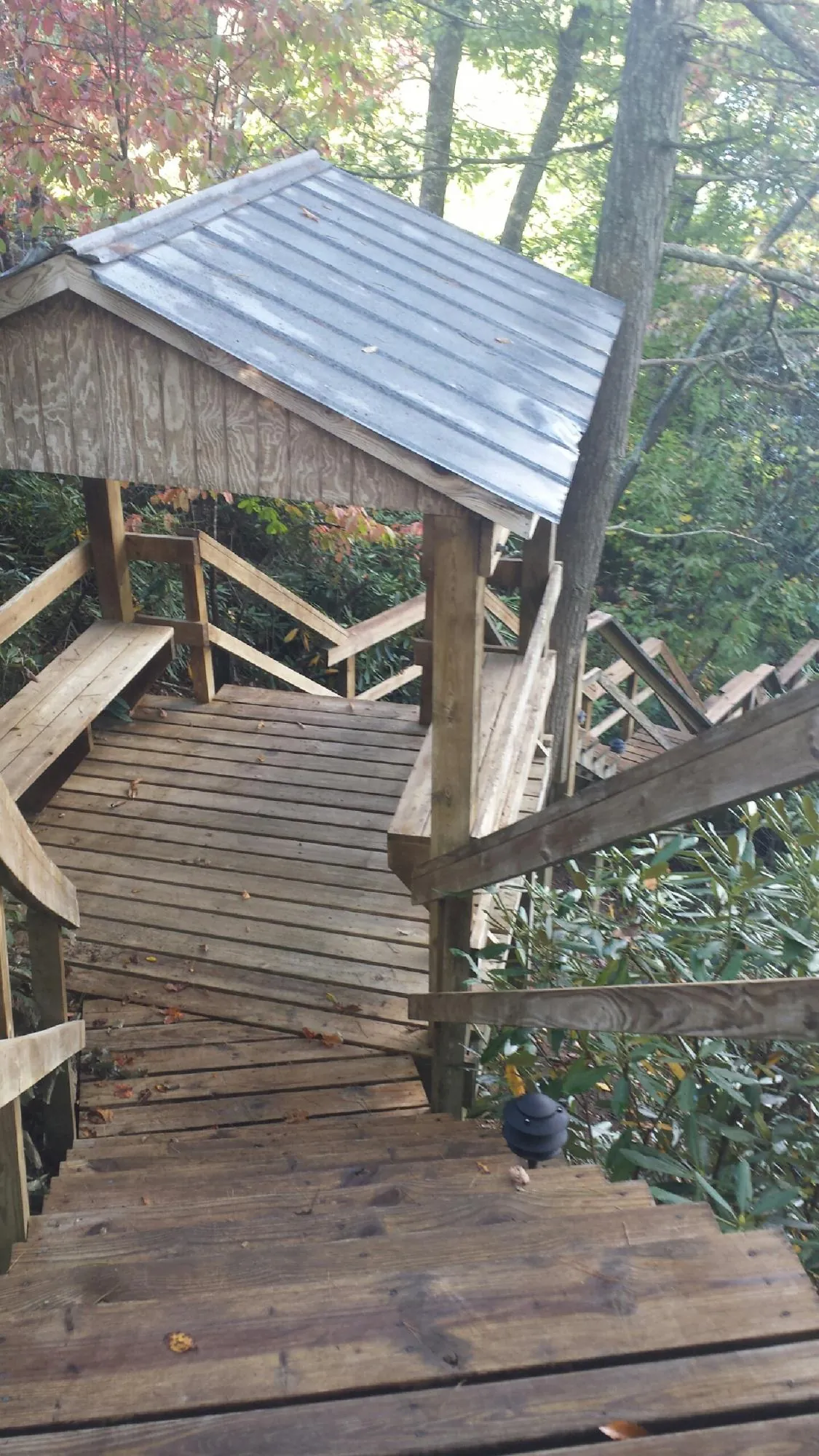 Metal roofed shelter over wooden steps on a wooded walkway — Skylight Repair & Installation work by our crew in Counce